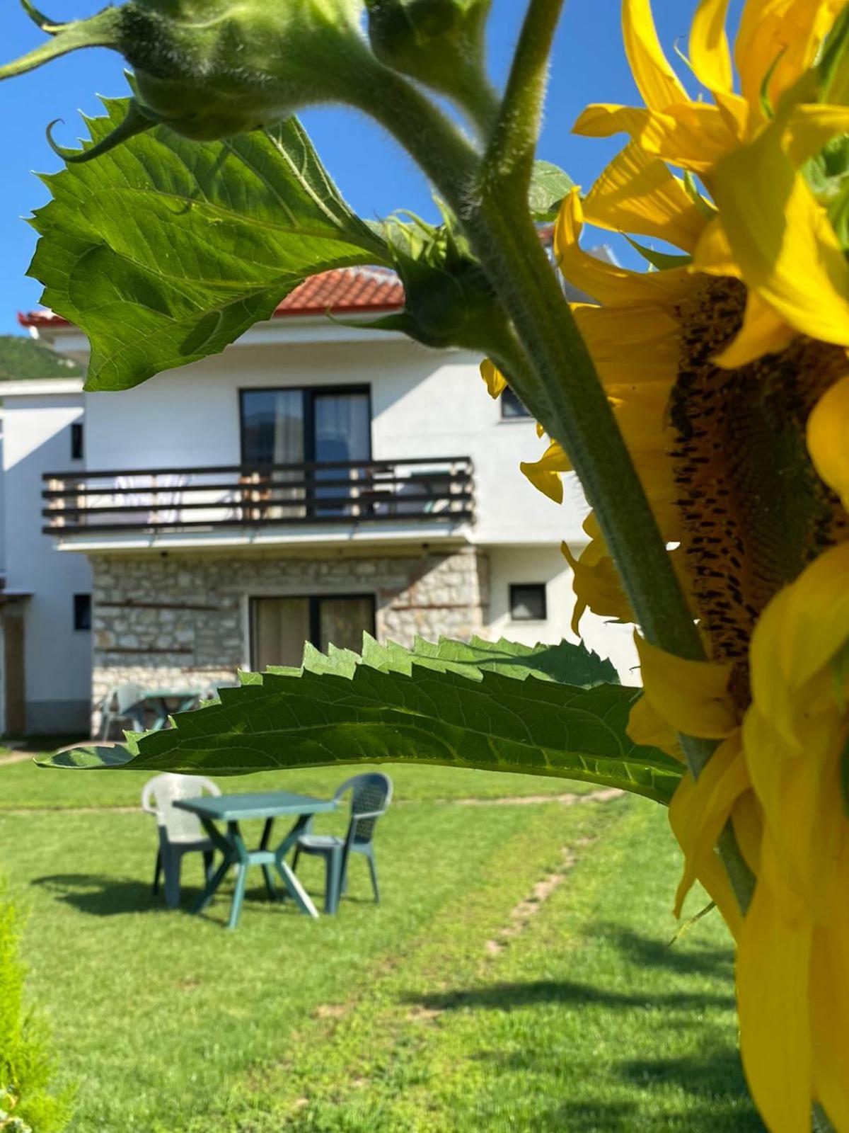 Vila Ndrio Tushemisht Экстерьер фото
